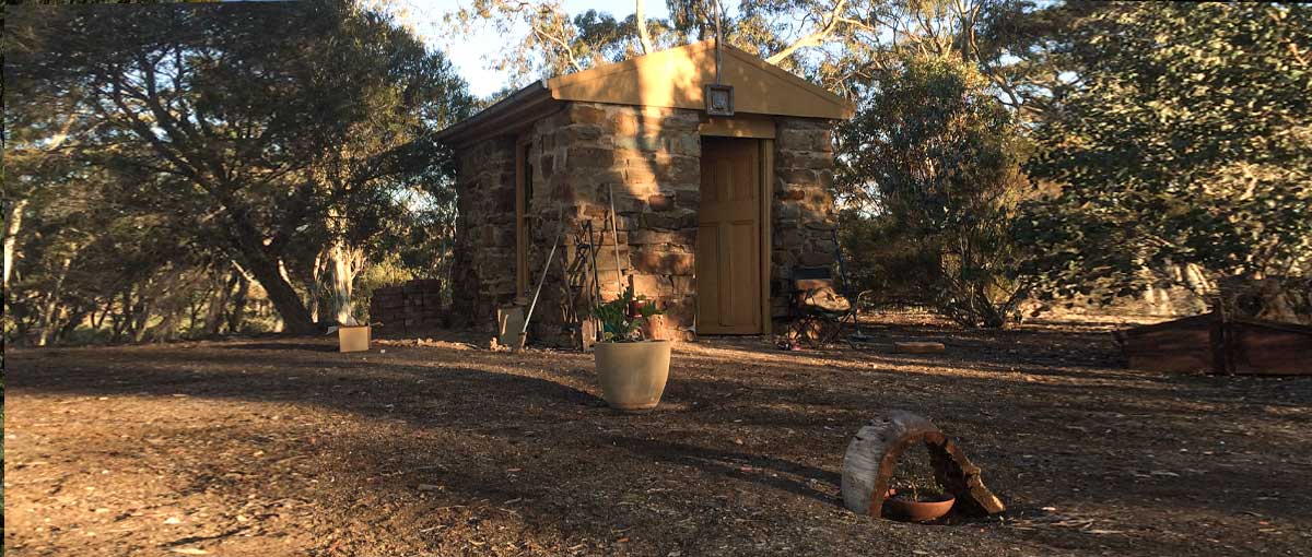 Cabin Retreat